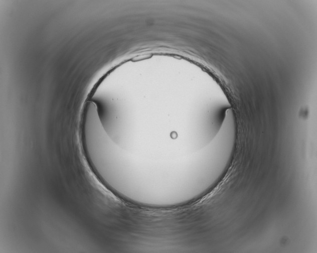 X0000096431518200802211134