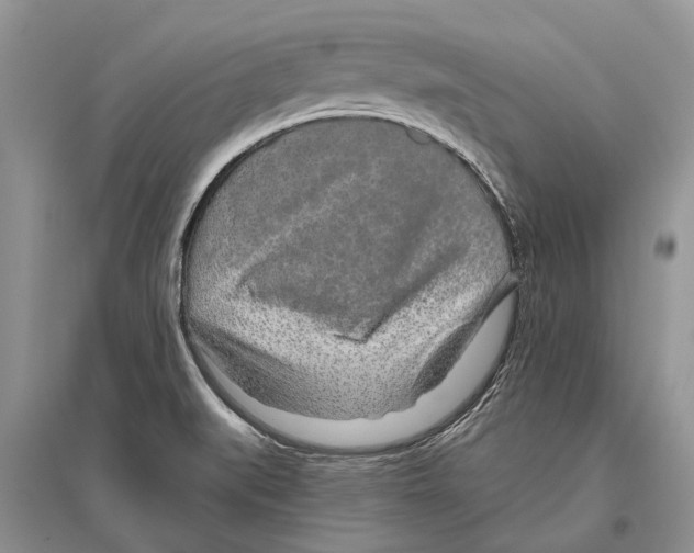 X0000096431519200802211134