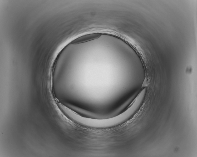 X0000096431520200802211134