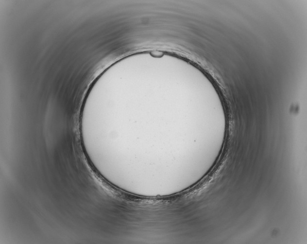 X0000096431521200802211134