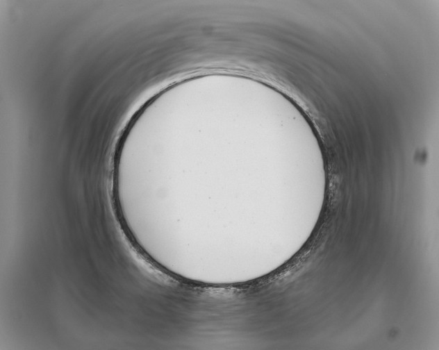 X0000096431523200802211135