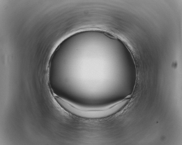 X0000096431524200802211135