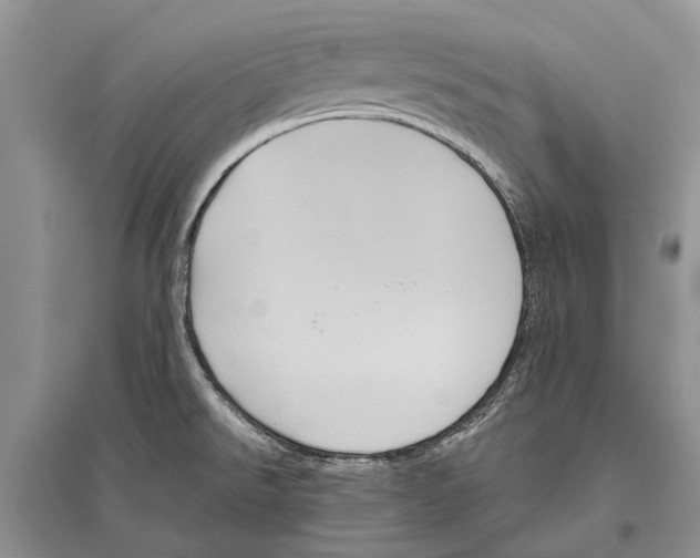 X0000096431526200802211135