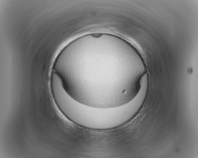 X0000096431528200802211135