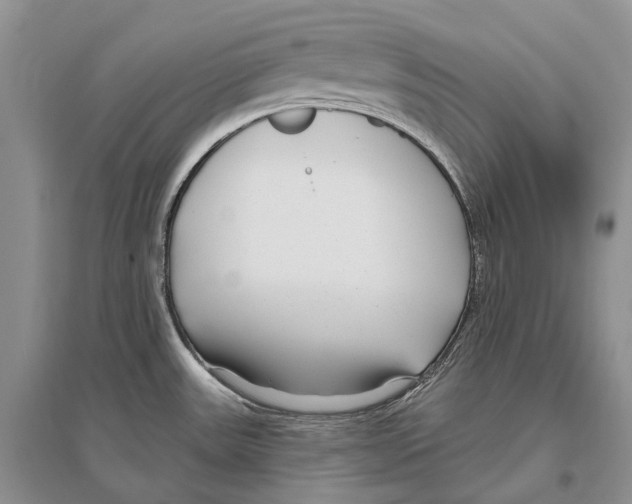 X0000096431531200802211135