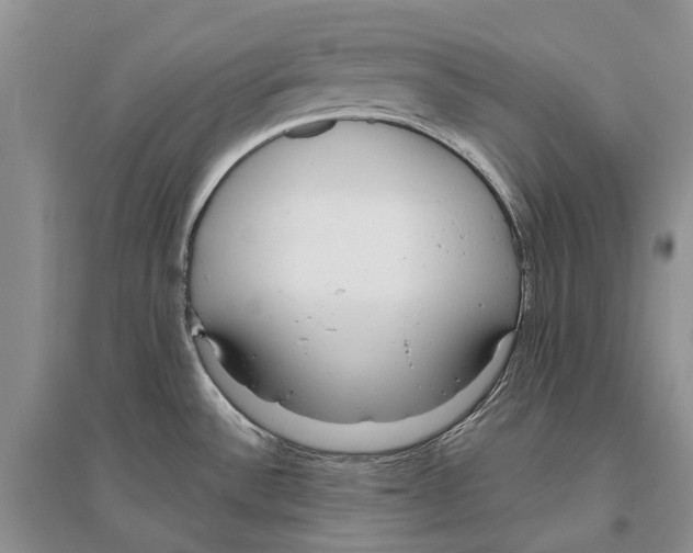 X0000096431532200802211135