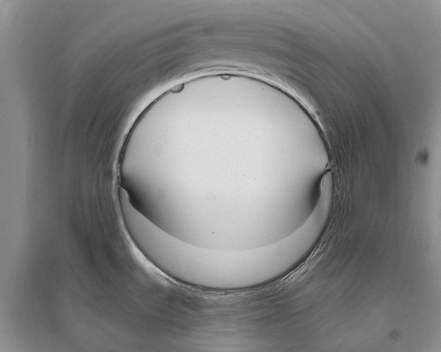X0000096431535200802211135