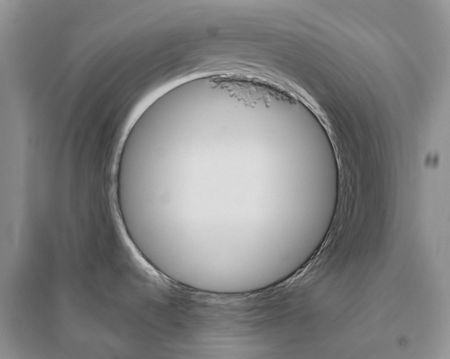 X0000096431536200802211135