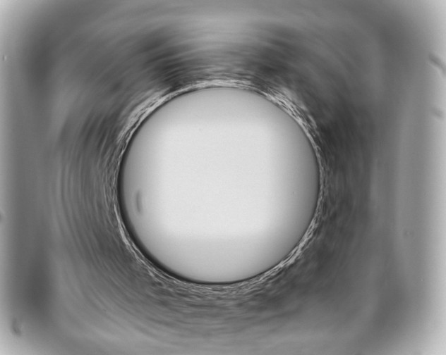 X0000096440001200801241128