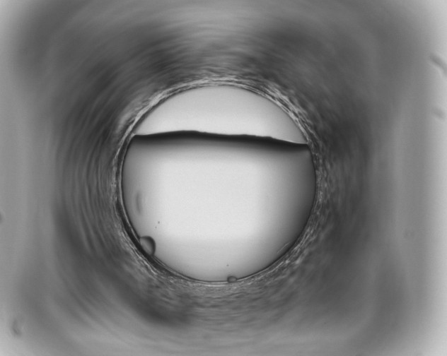 X0000096440002200801241128