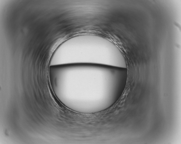 X0000096440003200801241128