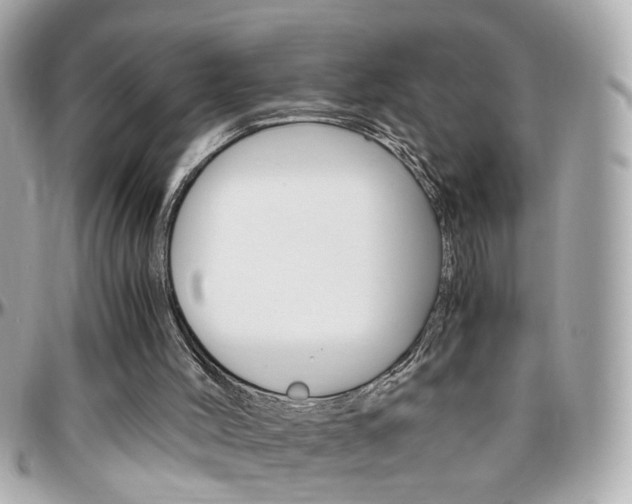 X0000096440004200801241128