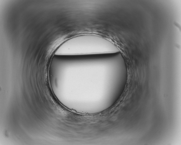 X0000096440005200801241128