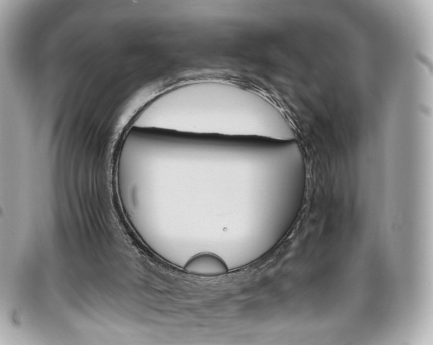 X0000096440006200801241128