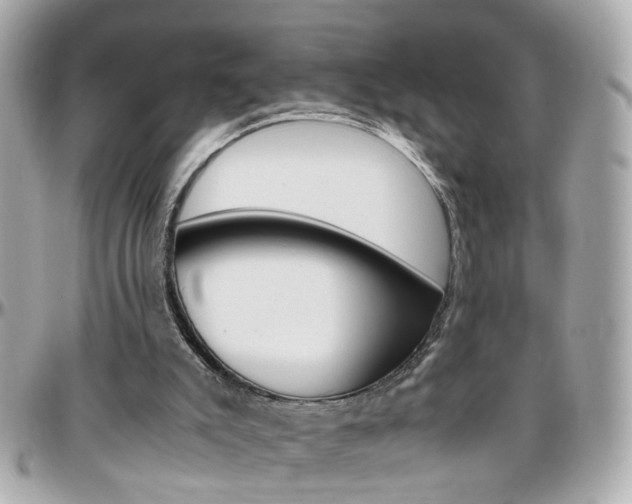 X0000096440007200801241128