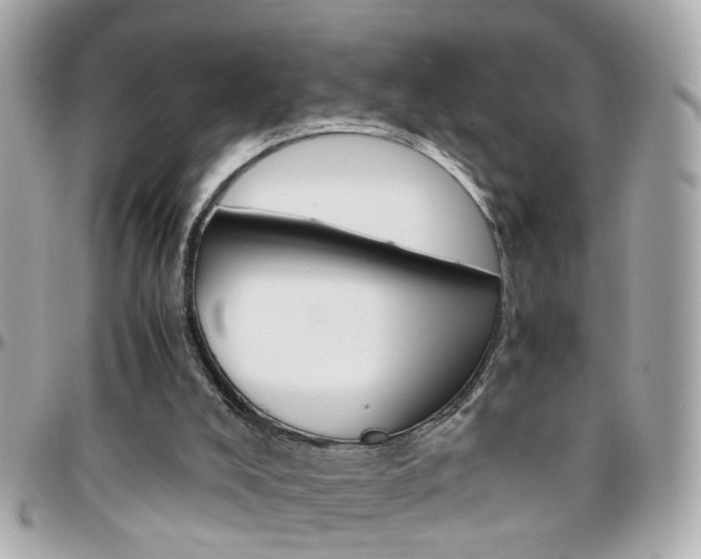 X0000096440008200801241128