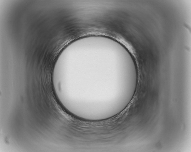 X0000096440009200801241128