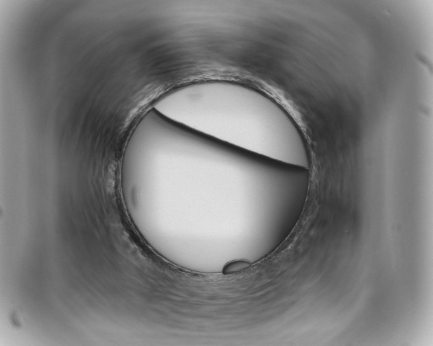 X0000096440010200801241128