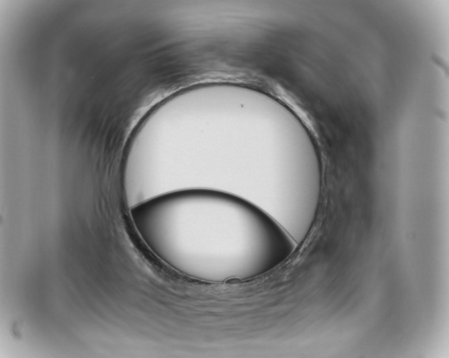 X0000096440011200801241128