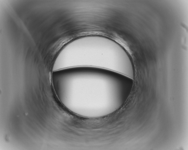 X0000096440013200801241128