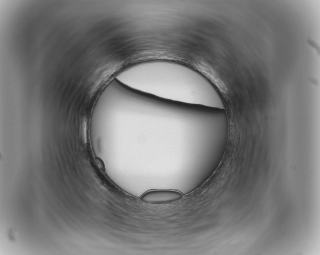 X0000096440014200801241128