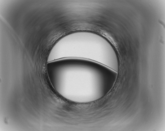 X0000096440017200801241128
