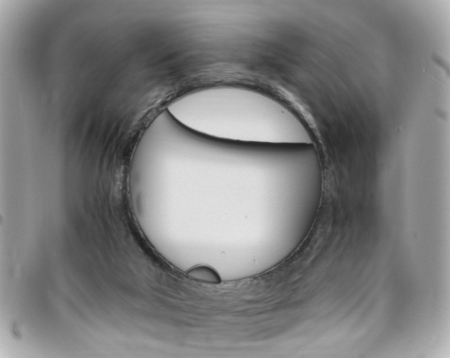 X0000096440018200801241128