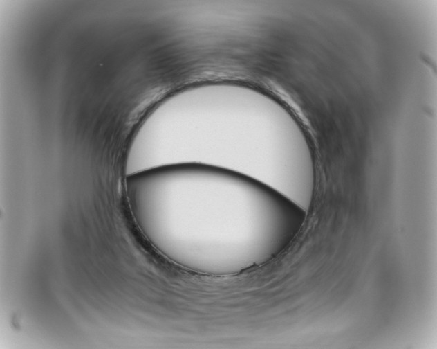 X0000096440019200801241128