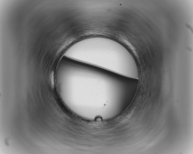 X0000096440020200801241128