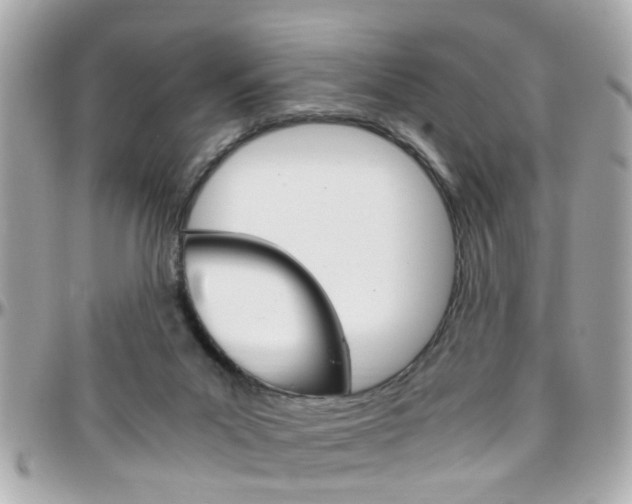 X0000096440023200801241128