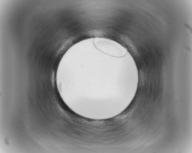 X0000096440024200801241128