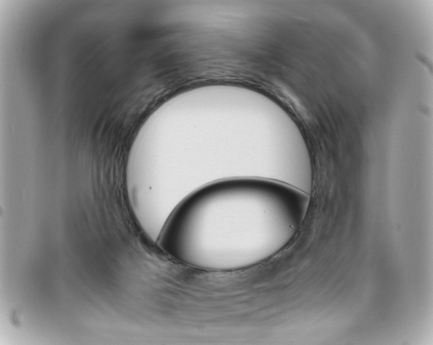 X0000096440025200801241128