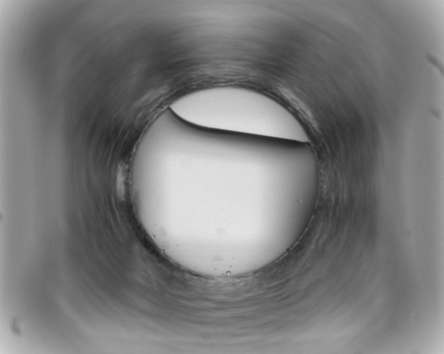 X0000096440026200801241128