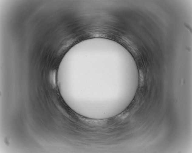 X0000096440028200801241128