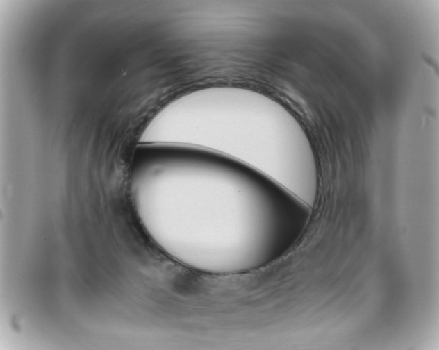 X0000096440029200801241128
