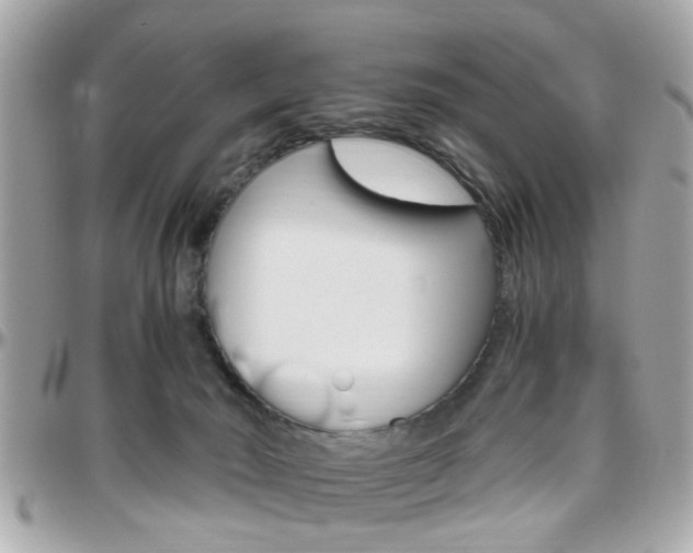 X0000096440030200801241128