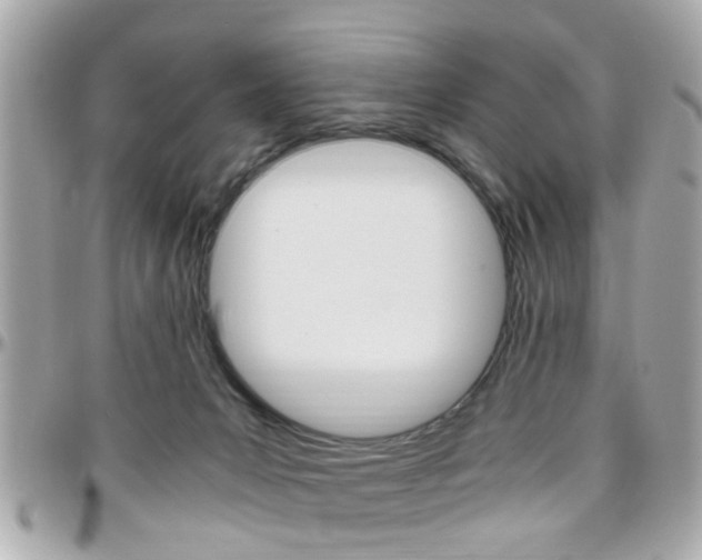 X0000096440031200801241128