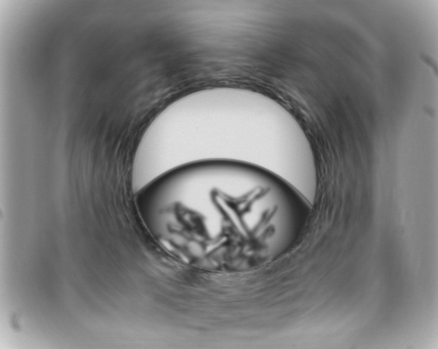 X0000096440033200801241128