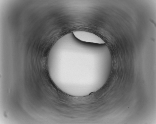 X0000096440034200801241127