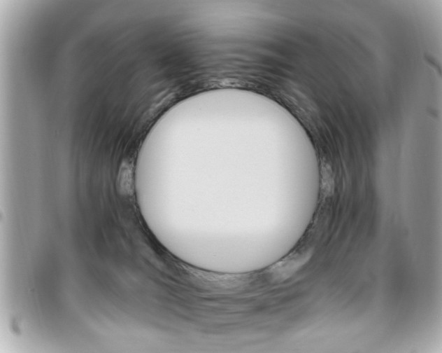 X0000096440036200801241127