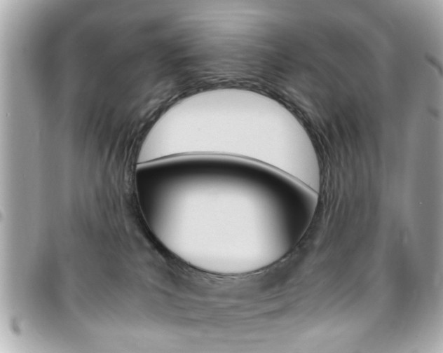 X0000096440039200801241127