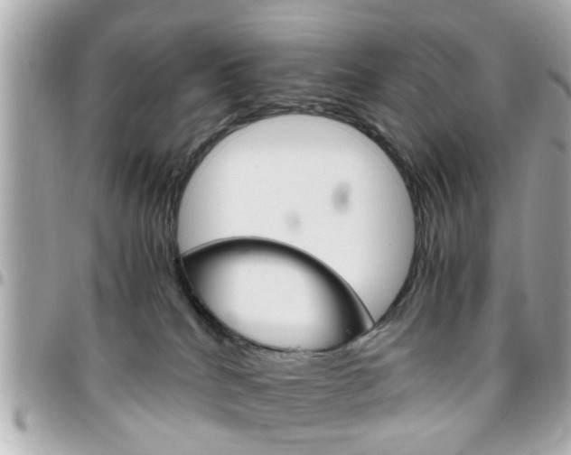X0000096440040200801241127