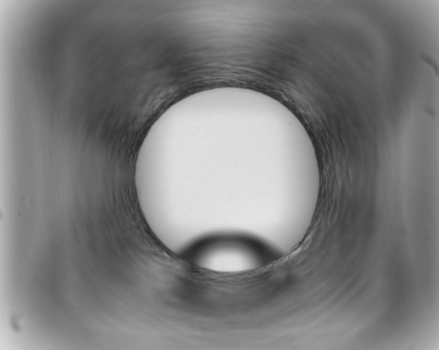 X0000096440041200801241127