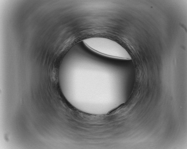 X0000096440044200801241127