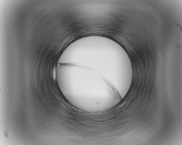X0000096440046200801241127