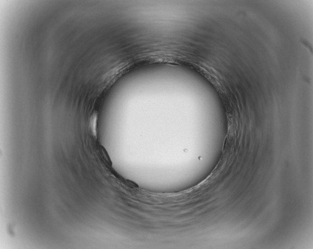X0000096440047200801241127