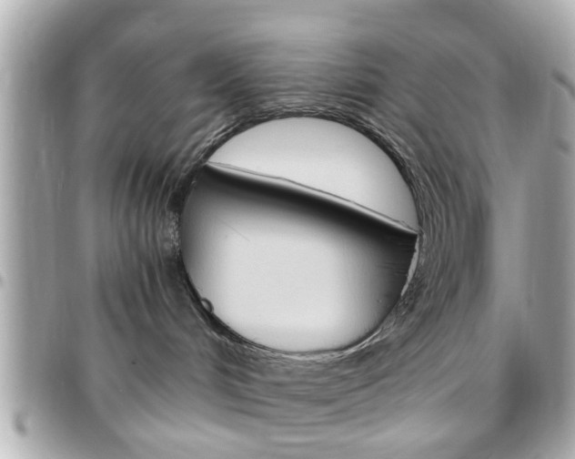 X0000096440048200801241127