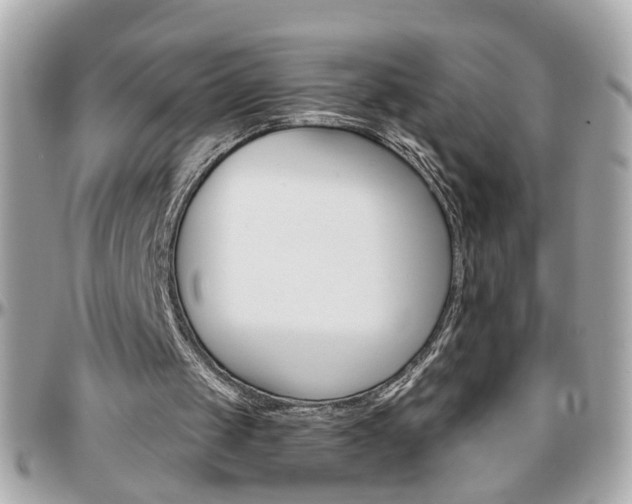X0000096440049200801241127