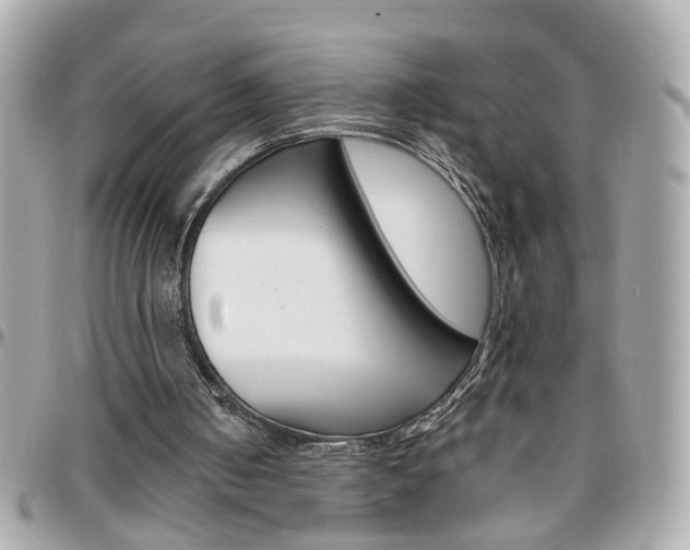 X0000096440050200801241127