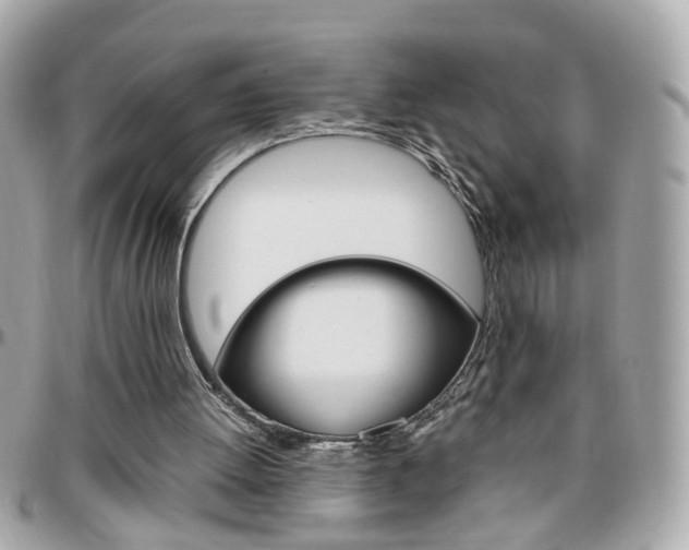 X0000096440052200801241127